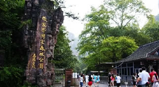 ���ҽ��(gu��)��ɭ�ֹ��@